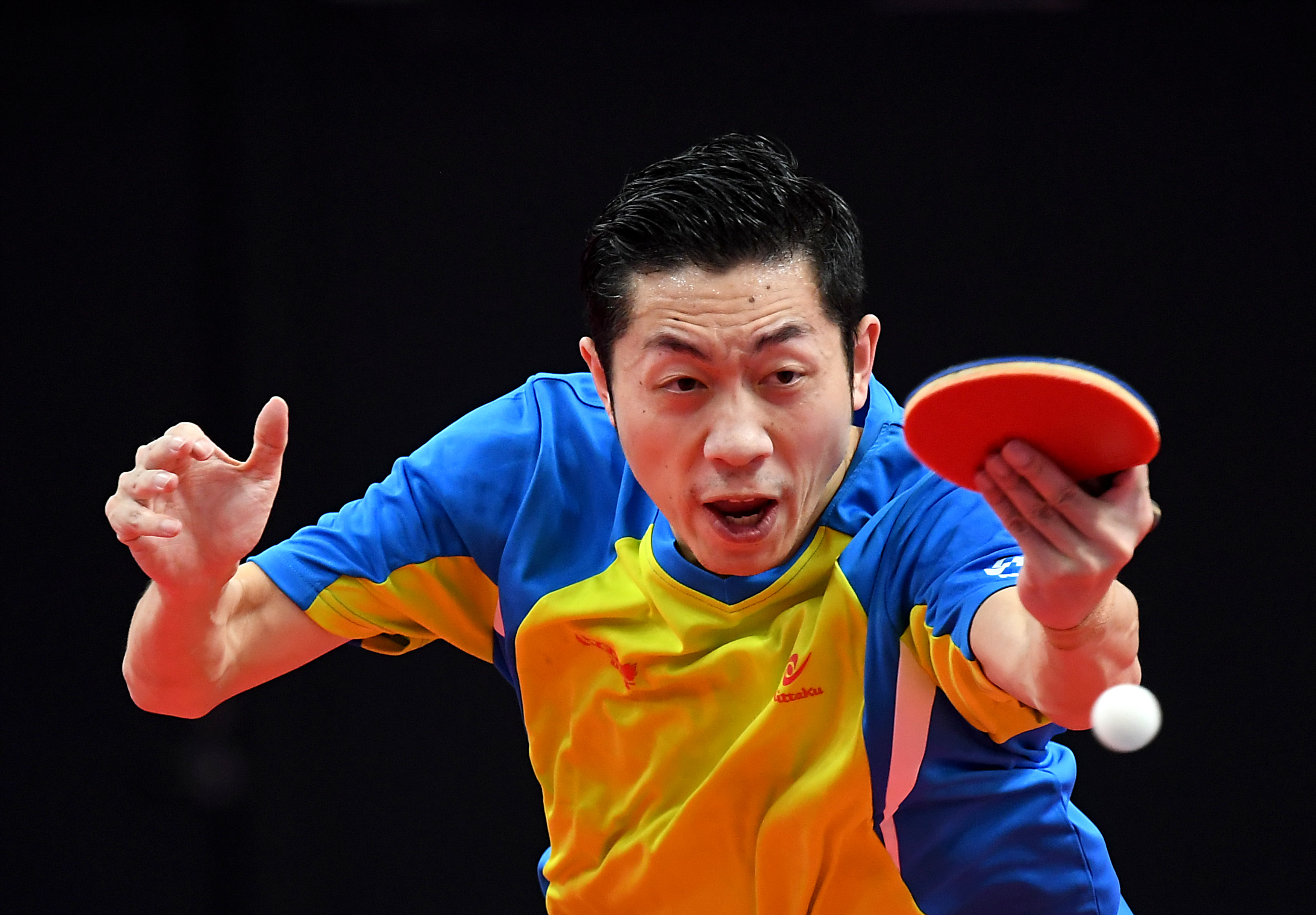 英国乒乓球队爆冷德国乒乓球队，许昕高光表现的简单介绍