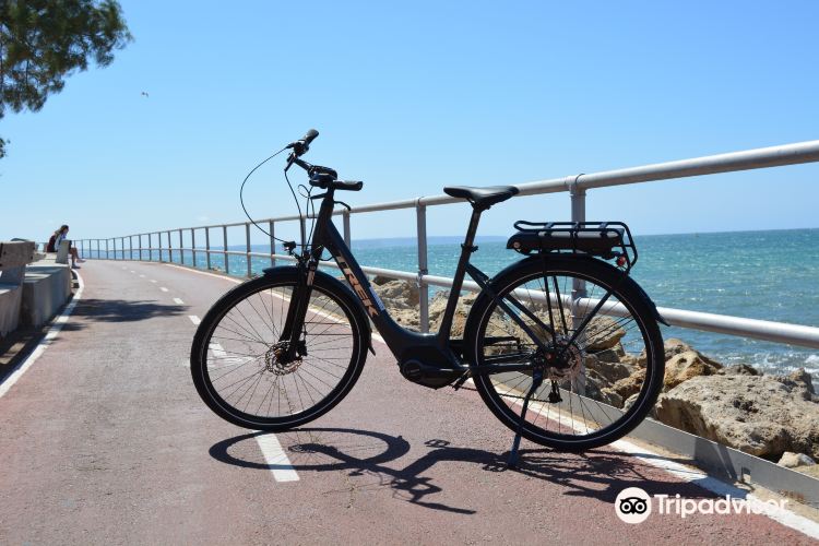 开云体育下载-关于马洛卡客场落败，不敌马略卡的信息