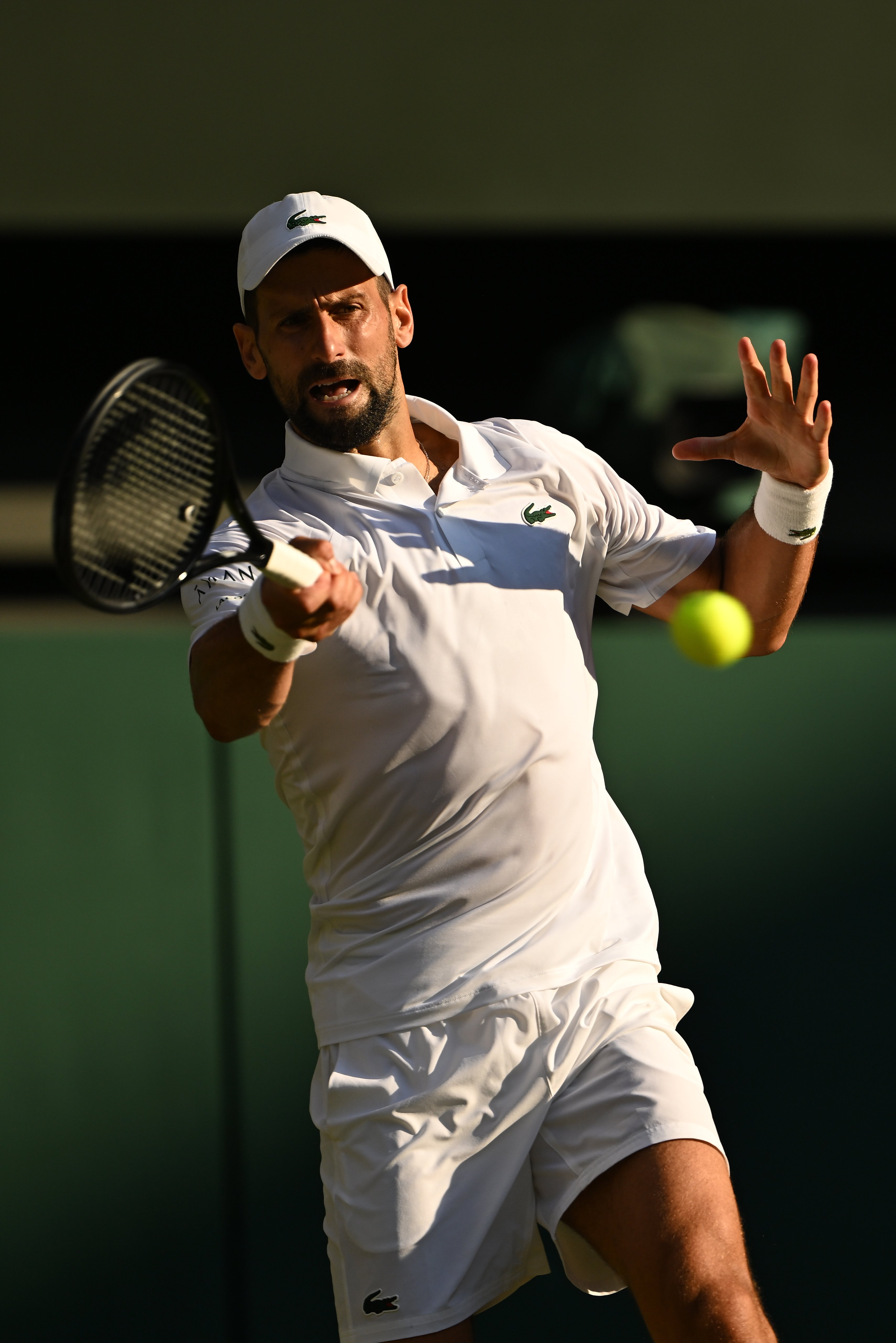 温网险胜ATP总决赛，辛纳状态火热