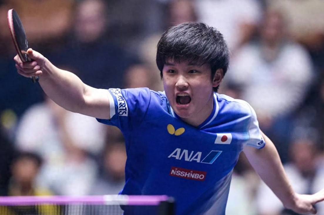 瑞典队绝杀法国队，张本智和关键制胜的简单介绍